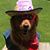 Mary Jo West's profile image