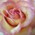 Joanne Clow's profile image