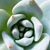 Shellie Presby's profile image