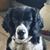 Nita Shutter's profile image