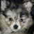 Nelson Manning's profile image