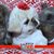 Marcy Burstyn Tumbarello's profile image