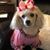 Debra Nisbet's profile image