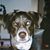 Richard Poula Jr.'s profile image