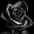 Leticia Tanory's profile image