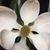 Lisa Stampley's profile image