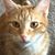 Paul Horning's profile image