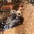 Mary Weigman's profile image