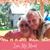 Dawn M Heintze Friello's profile image
