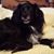 Liz Theroux Zaier's profile image