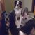 Debbie Fuller's profile image