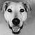 Alan J. Sonntag's profile image