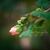 Heather Roddy's profile image