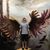 Brandon Hsia's profile image