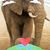 Janice Behrent's profile image
