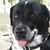 Jack M Owings IV's profile image