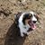 Melodie Milroy's profile image