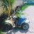 Julio Galarza Brito's profile image