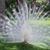 Dotti Alley's profile image