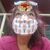 Alicia Chin's profile image
