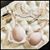 Sandra Braunagel's profile image