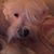 Andrea Estelle Skelton's profile image