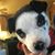 Linda Eickenhorst's profile image