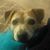Melanie Pendleton Pearson's profile image