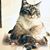 Patty Richey's profile image