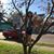Sarai Gonzalez's profile image
