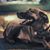 Kathy Volpe Gorske's profile image