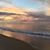 Rosa Silvia's profile image