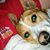 Lynnette Comer's profile image