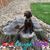 John Peters's profile image