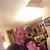 Justin Meyer's profile image