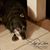 Donna M Hutter's profile image