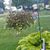 Barbara Wonner's profile image