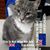 Barbara Duley-Foote's profile image