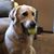 Missy Sapletal Schmid's profile image