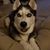 Chris Schabow's profile image
