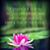Katrina Taylor's profile image