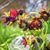 Vanetta Wallick's profile image