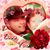 Kristina M. Hittle-Baker's profile image