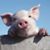Maz Leitner's profile image
