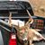 Steven Murphey's profile image