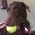 Whitney Schulte's profile image