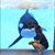 Kathy Ward Hudson's profile image