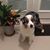 Nancy Luce Thompson's profile image