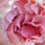 Lisa McMillan's profile image