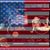 Carley Sue Kerry's profile image